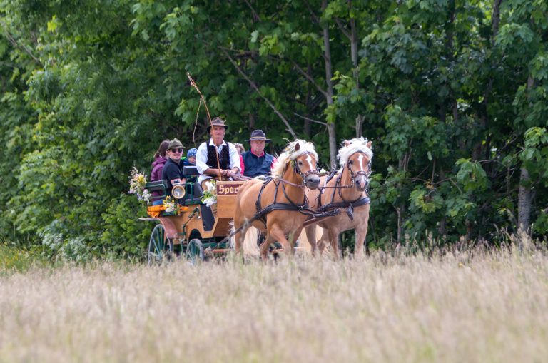 Eine Pferdekutsche mit Passagieren