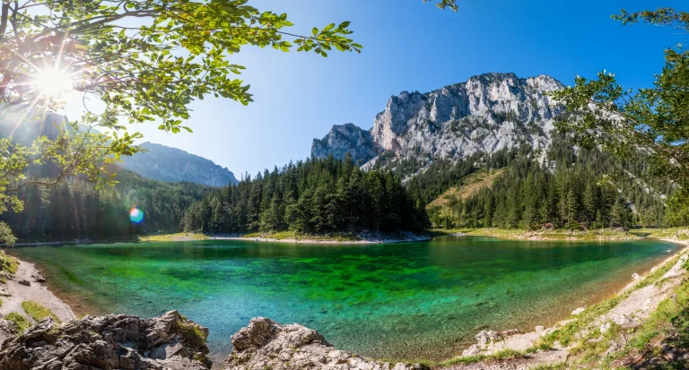Ein Landschaftsbild eines Sees, Wald und Bergen