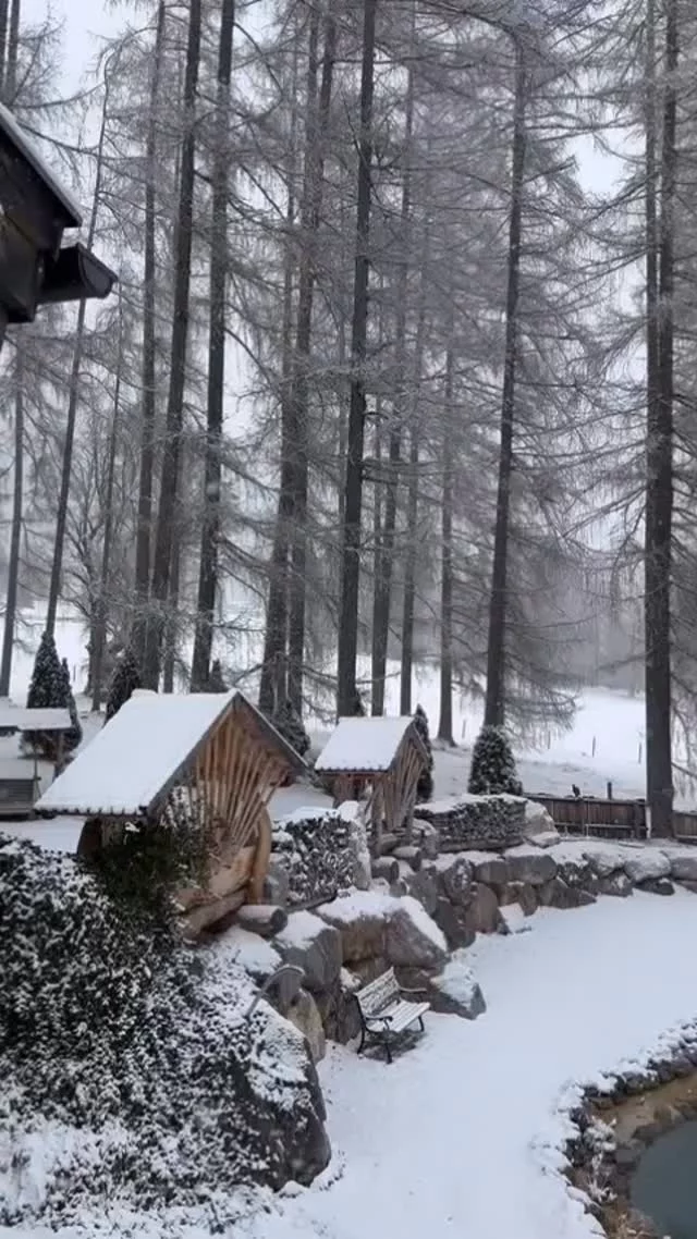 Die Temperaturen sinken, draußen tanzen die ersten ❄️ Schneeflocken und der Wetterbericht verspricht für die kommenden Tage jede Menge 🤩 Neuschnee!

Langlaufgenuss, Skivergnügen 🎿, kulinarische Höhepunkte und wohltuende ✨ Wellnessmomente – das Naturhotel Lärchenhof im Herzen der Ramsau am Dachstein ist dein perfekter 🤗 Rückzugsort für eine unvergessliche Winterauszeit.

🩵 Bist du bereit für den Winter?

#hotellärchenhof #lärchenhof #eshatgeschneit #ersterschnee #skivergnügen #winterurlaub #skiamadé #langlaufen #langlauf #winterauszeit #winterangebote #winterwandern #winteriscoming #auszeitindenbergen #feelaustria #urlaubinösterreich #ramsauamdachstein #schladmingdachstein