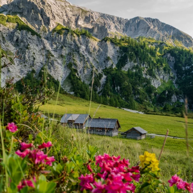 .
Bergsommer zum Verlieben!

Zwischen blühendem 🤩 Almrausch, beeindruckenden Gipfeln ⛰️ und frischer Bergluft wartet die Natur darauf, entdeckt zu werden.

Genieße entspannte Tage in unseren liebevoll 🫶 gestalteten Zimmern und Suiten – mit viel Raum für Rückzug, Erfrischung und echte 🥾 Bergmomente.

Einfach loswandern, staunen und jeden Schritt genießen.

👉 www.hotel-laerchenhof.at

(c) @christine.percht.hoeflehner 

#naturhotellärchenhof #bergsommerzumverlieben #almrausch #bergmomente #bergsommer #bergsee #mittenindenbergen #naturgenießen #sonne #familienzeit #bergliebe #wandern #ausblick #auszeitindenbergen #bergwelt #natur #ramsauamdachstein