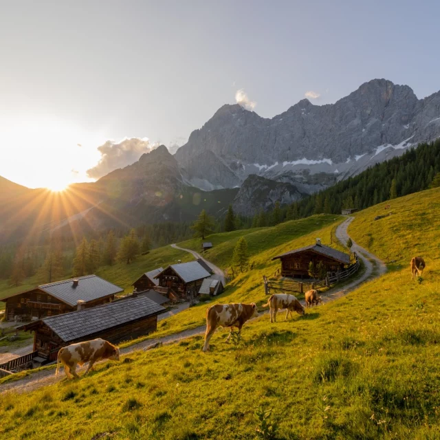 .
Pack deine Koffer 🤩 und ab in die Berge!

Im Naturhotel Lärchenhof warten entspannte 🤗 Stunden, aussichtsreiche Wanderungen 🥾 und diese besondere Ruhe, die einfach gut tut.

Den Tag draußen verbringen, die Sonne ☀️ genießen und anschließend regionale Köstlichkeiten und echte Erholung erleben – genau so fühlt sich Urlaub 💚 im Naturhotel Lärchenhof an.

Zwischen Bergen ⛰️, Natur und ganz viel Ruhe beginnt deine Auszeit am Pfingstwochenende.

👉 www.hotel-laerchenhof.at

(c) @michael_simonlehner_photo 

#naturhotellärchenhof #pfingstwochenende #auszeitgenießen #kurzurlaub #kurzmalwegamfeiertag #naturgenuss #feiertagsauszeit #wellnessundnatur #ramsauamdachstein #mittenindenbergern #wellness #auszeitvomalltag #urlaubindersteiermark #sommerfrische