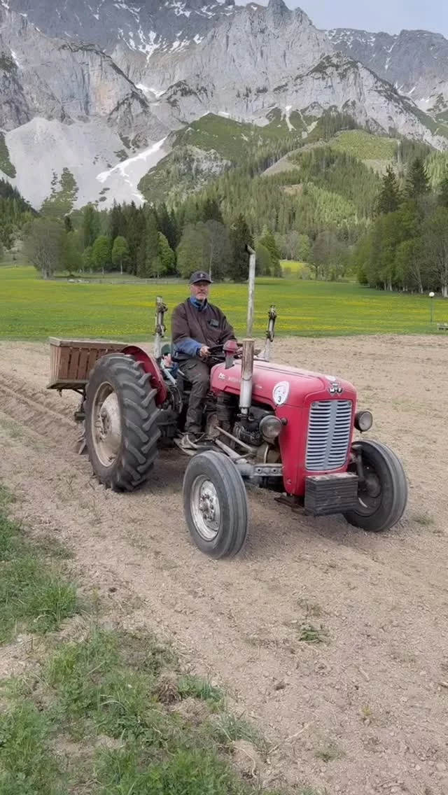 .
Kartoffelsetzen 🥔 im Naturhotel Lärchenhof!

Was wie ein kleiner Handgriff wirkt, ist eigentlich etwas ganz ✨ Besonderes!

Selber anpacken, draußen in der Natur sein 💚 und miterleben, wie aus etwas Kleinem etwas Großes wird.

Gerade für unsere Kinder sind das die Momente, die bleiben. Schmutzige Hände, viel Lachen 🤗 und das Gefühl, ein wichtiger Teil 🫶 davon zu sein.

Der schönste Moment 🤩 ist im Herbst, wenn die ersten Kartoffeln geerntet werden – und die beiden mit Stolz 🙌 sagen können: „Die haben wir selbst gesetzt!”

Ehrlich. Regional. Naturhotel Lärchenhof.

#naturhotellärchenhof #kartoffelsetzen #naturpur #eigenelandwirtschaft #ramsauamdachstein