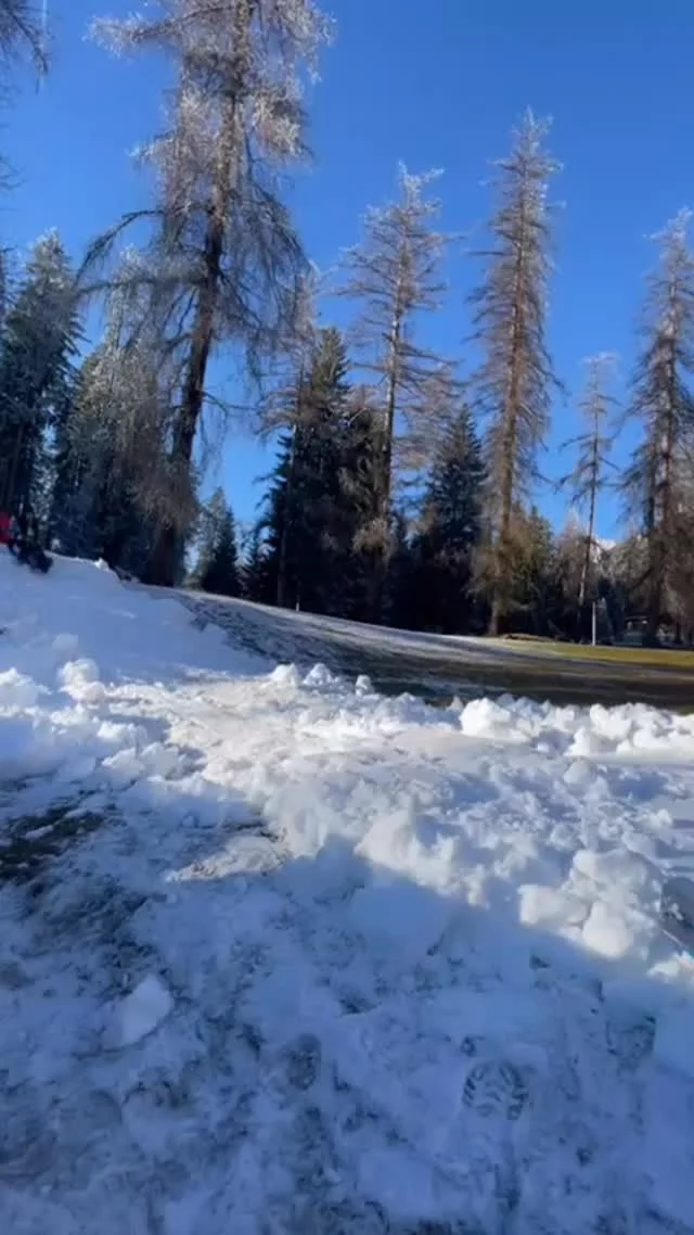 .
Auch wenn der viele Schnee ❄️ noch auf sich warten lässt, ein bisschen Winterfeeling 🩵 gibt’s bei uns schon jetzt!

Direkt vor dem Hotel sorgt unsere kleine 🤩 Zipfelbob-Bahn für jede Menge Spaß bei Groß und Klein.

Ein paar flotte Rutscher, frische Bergluft 🏔️ und lachende 🤗 Gesichter,  mehr braucht es oft gar nicht.

#hotellärchenhof #lärchenhof #naturhotel #zipfelbobfahren #zipfelbobbahn #schnee #winterurlaub #auszeitindenbergen #bergwelten #mountains #feelaustria #urlaubinösterreich #schladmingdachstein #ramsauamdachstein