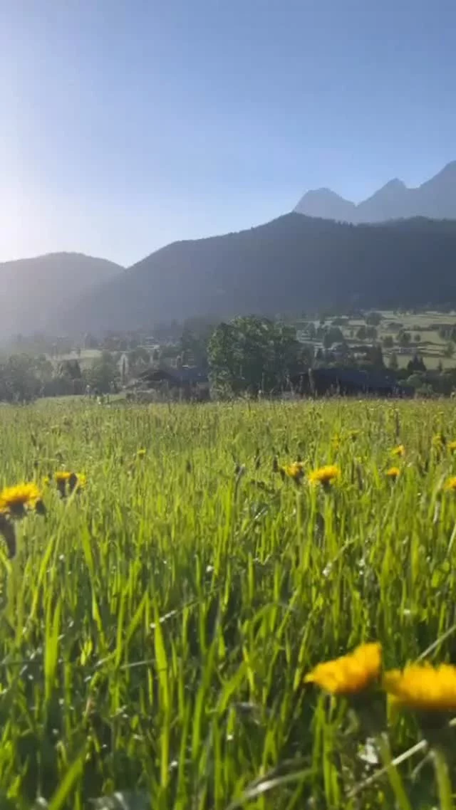 .
Guten Morgen Ramsau am Dachstein! 

Die Sonne ☀️ scheint, die Wiesen blühen 🌸 und die Berge zeigen sich von ihrer schönsten Seite. 

Ein neuer Tag beginnt mit frischer Bergluft ⛰️, Vogelgezwitscher und der Vorfreude auf alles, was der Sommer 🫶 in den Bergen bereithält.

Dein Bergmoment im Naturhotel Lärchenhof – draußen sein, durchatmen und die Natur 💚 mit allen Sinnen erleben.

Wir wünschen euch einen wunderschönen 🤩 Start in den Tag!

(c) @michael_simonlehner_photo 

#naturhotellärchenhof #ramsauamdachstein #bergwelten #deinbergmoment #startindentag
